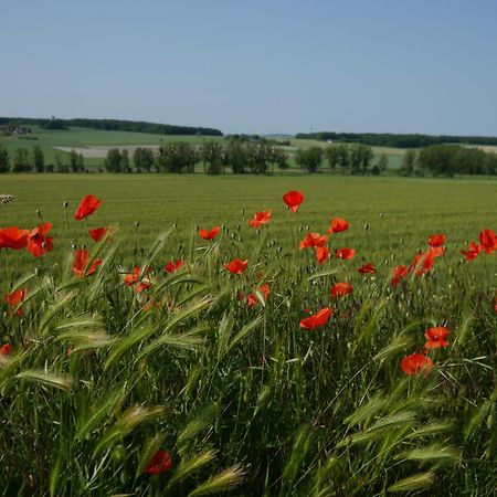Logis Auberge De Crissay Bagian luar foto